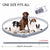 Anti Flea & Tick Dog Collar - Ohmyglad