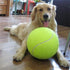 Giant Tennis Ball Dog Toy