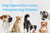 12 Dog Captions for Lovely Instagram Dog Pictures