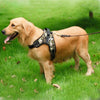 Adjustable Padded Dog Harness - Ohmyglad