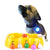 Clip On LED Dog Tags - Ohmyglad