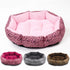 Colorful & Comfy Beds For Dogs