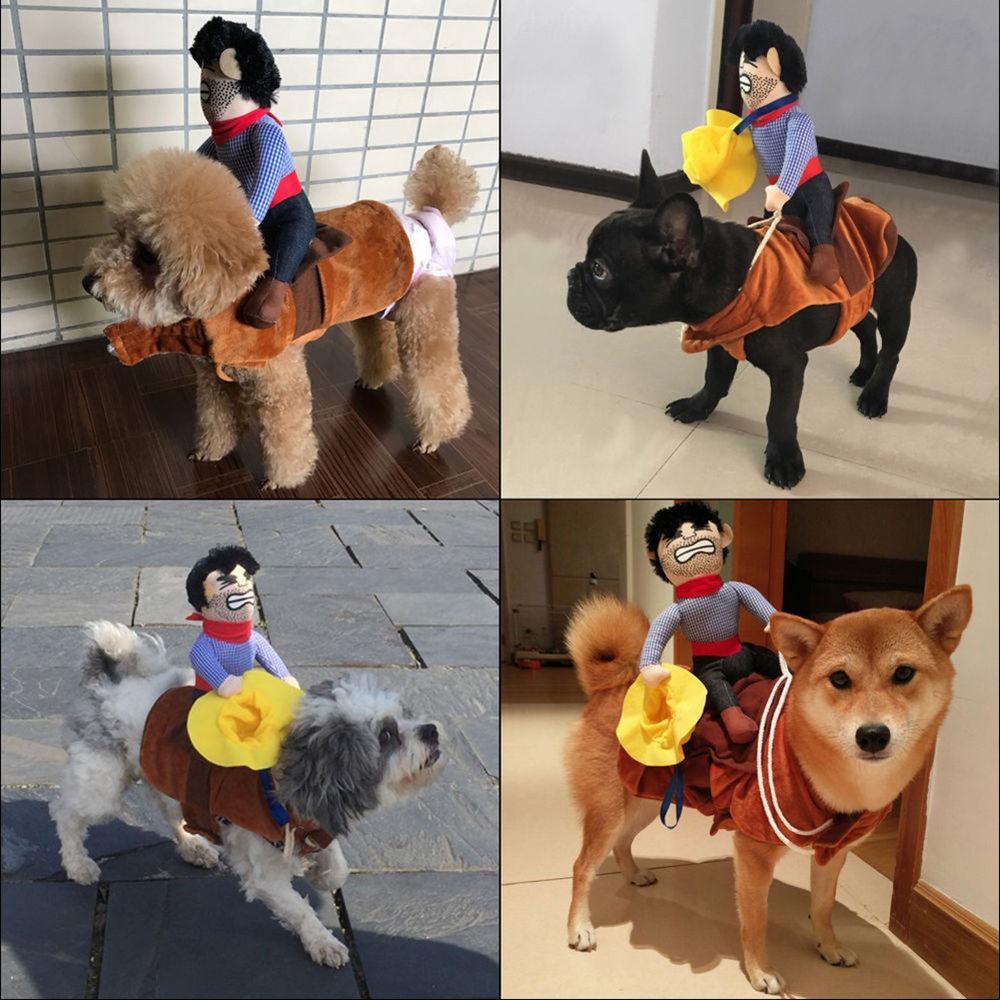 Cowboy Riding Dog Costume – Oh my Glad