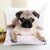 Cute Dog Pillows Covers - Ohmyglad