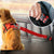 Dog Seat Belt Lead - Ohmyglad