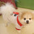 Dog Snowman Costume For Christmas - Ohmyglad