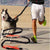 Elastic Running Dog Leash - Ohmyglad