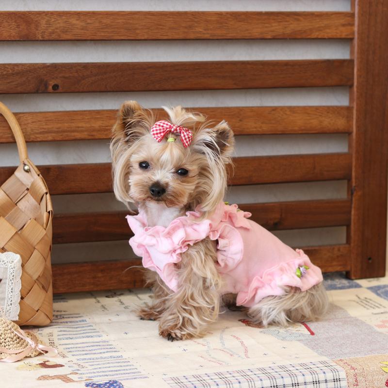 Fancy Dress For Dogs Fancy Dress For Dogs