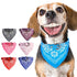 Fashionable Dog Bandana Collar