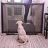 Foldable Safety Gates For Dogs