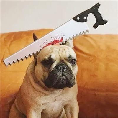 Funny Dog Accessories For Halloween - Ohmyglad