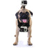 GoPro Dog Harness Mount