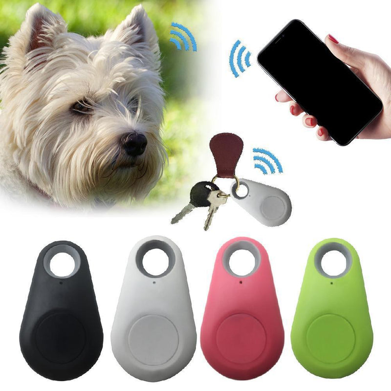 Gps tracking dog tag top
