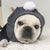 Handmade Winter Hats For Dogs - Ohmyglad