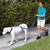 Instant Dog Trainer Leash - Ohmyglad
