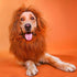 Lion Mane For Dogs