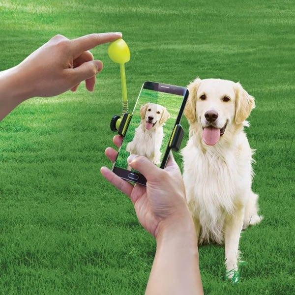 Dog Treat Launcher