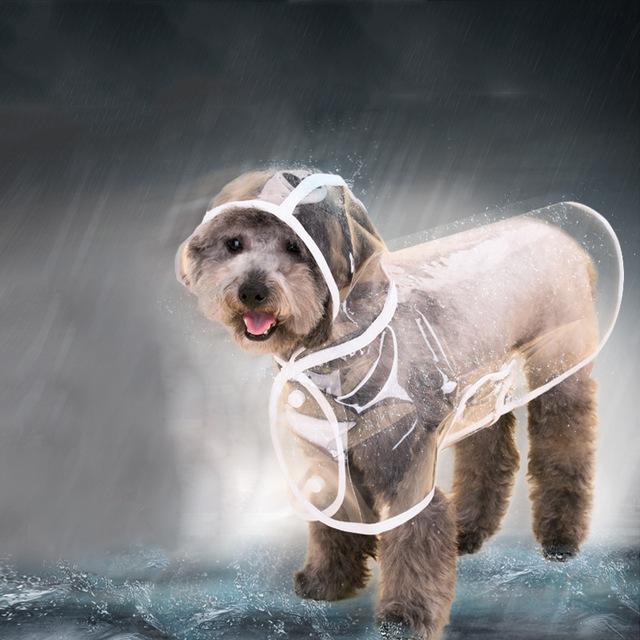 dog rain gear Raincoats For Small Dogs – Oh my Glad