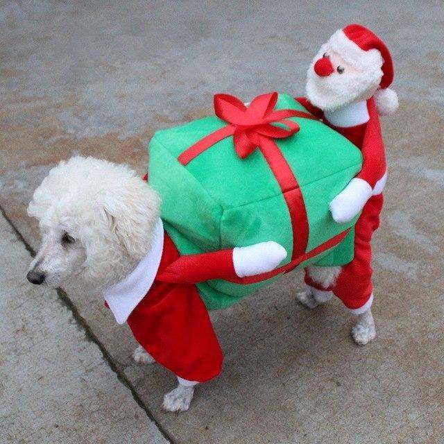 Santa Claus Dog Outfit – Oh my Glad