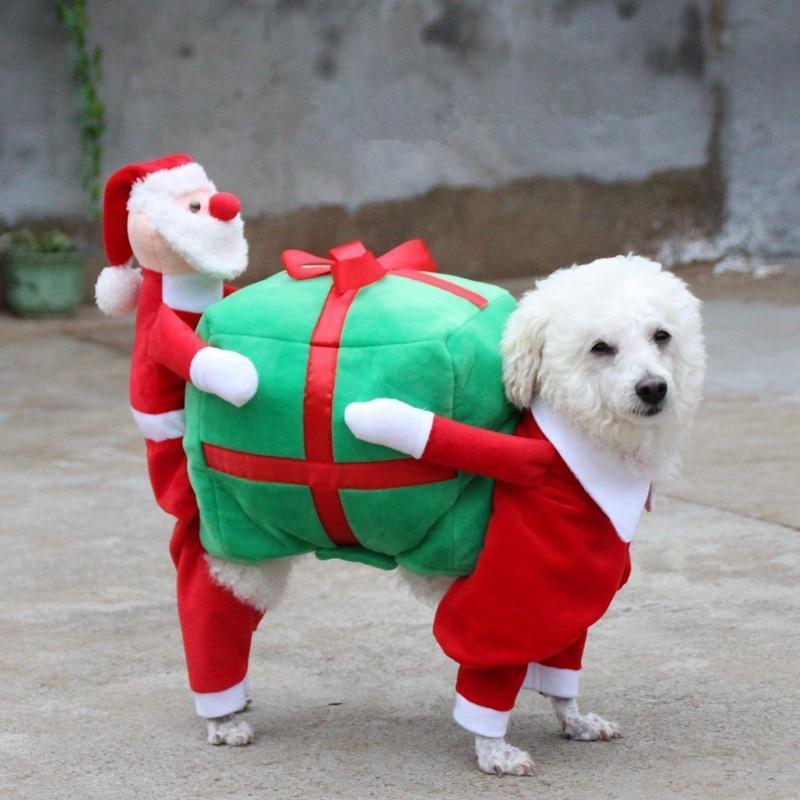 Santa Claus Dog Outfit Santa Claus Dog Outfit