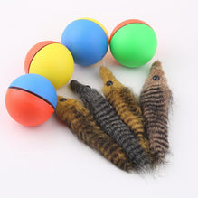Weazel Ball Motorized Ball Pet Toy For Ages 3 and Up