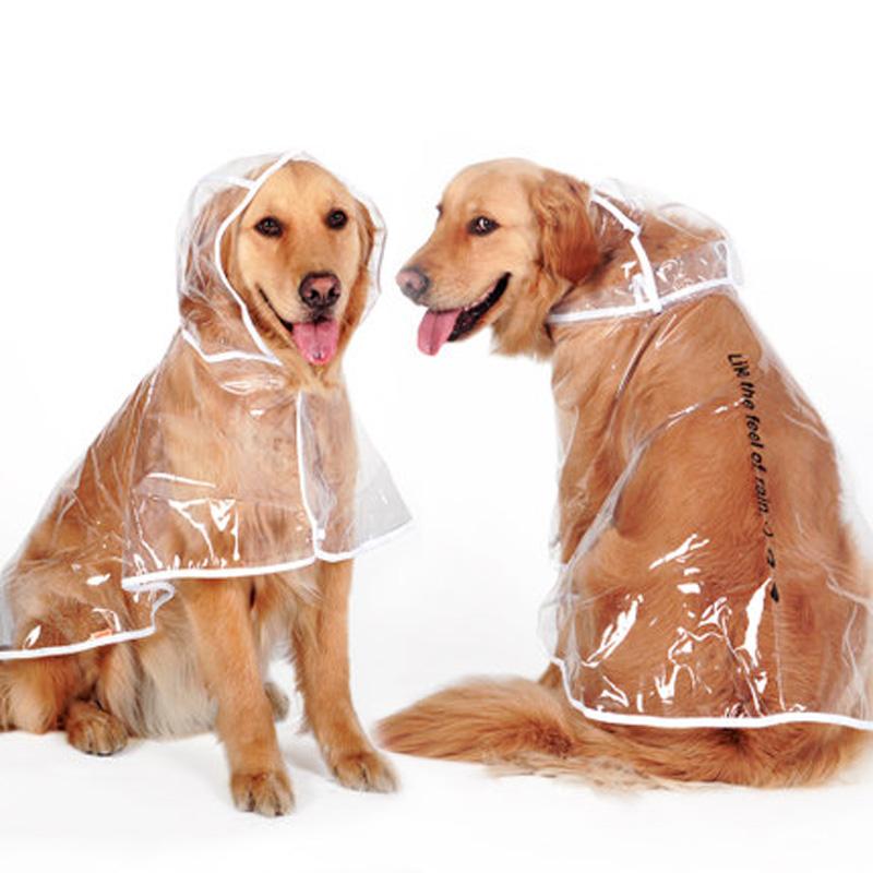 Transparent Raincoat For Large Dogs - Ohmyglad