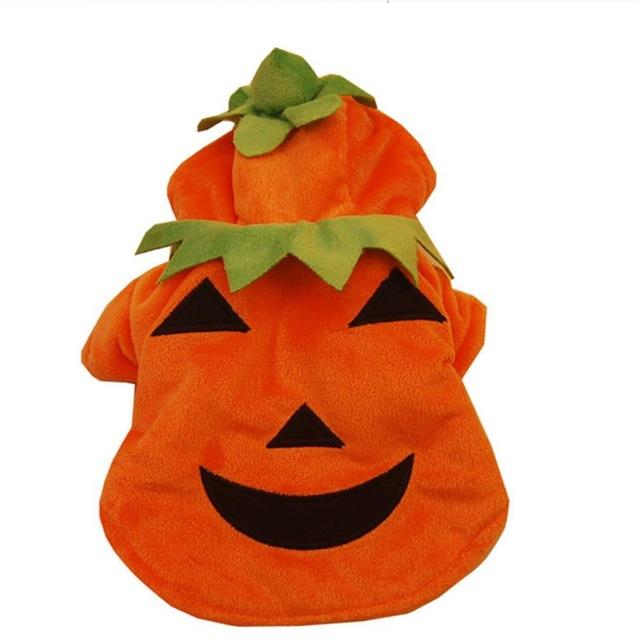 Warm Pumpkin Dog Costume - Ohmyglad