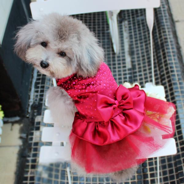 Wedding Dresses For Dogs – Oh my Glad Wedding Dresses For Dogs – Oh my Glad