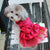 Wedding Dresses For Dogs - Ohmyglad