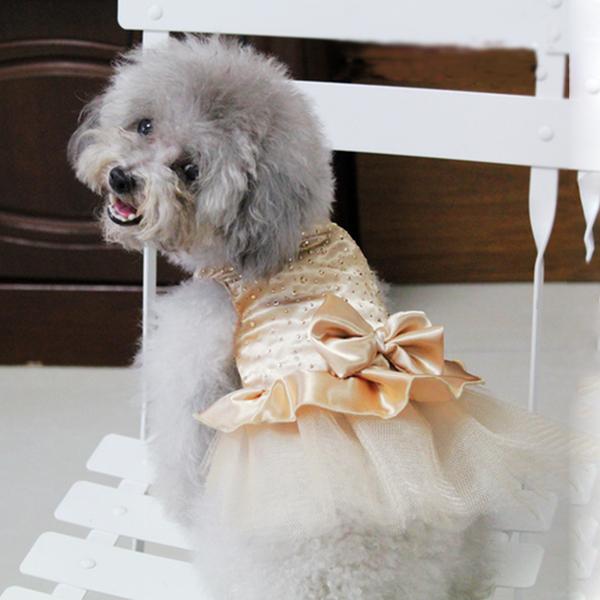 Wedding Dresses For Dogs Oh my Glad Wedding Dresses For Dogs Oh my Glad